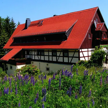 Apartment Sorgenfrei